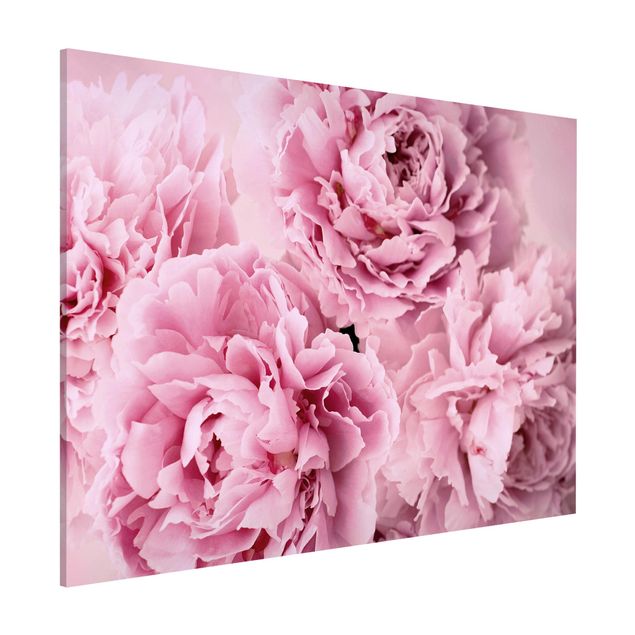 Lavagne magnetiche con fiori Peonie rosa