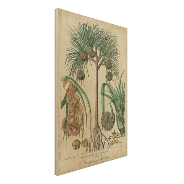 Quadri in legno con fiori Bacheca vintage Palme esotiche I