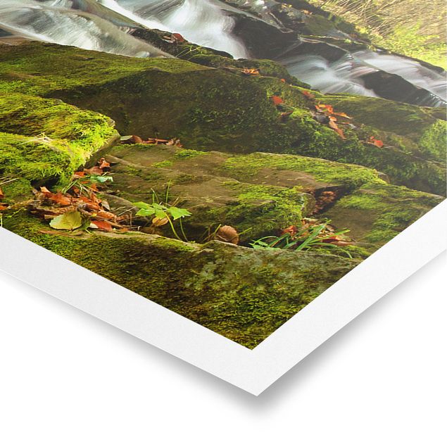 Poster paesaggi naturali Cascata Foresta autunnale
