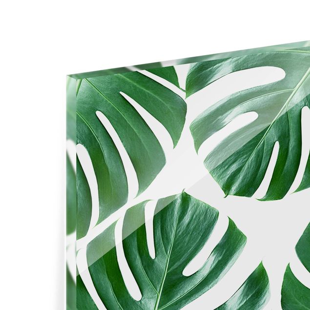Paraschizzi in vetro - Tropical Green Leaves Monstera