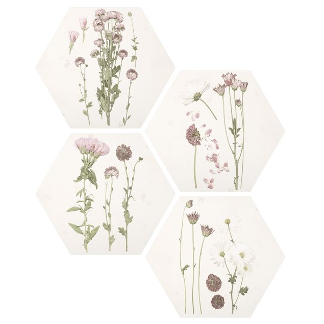 Esagono in Alluminio Dibond - Herbarium In Pink Set I