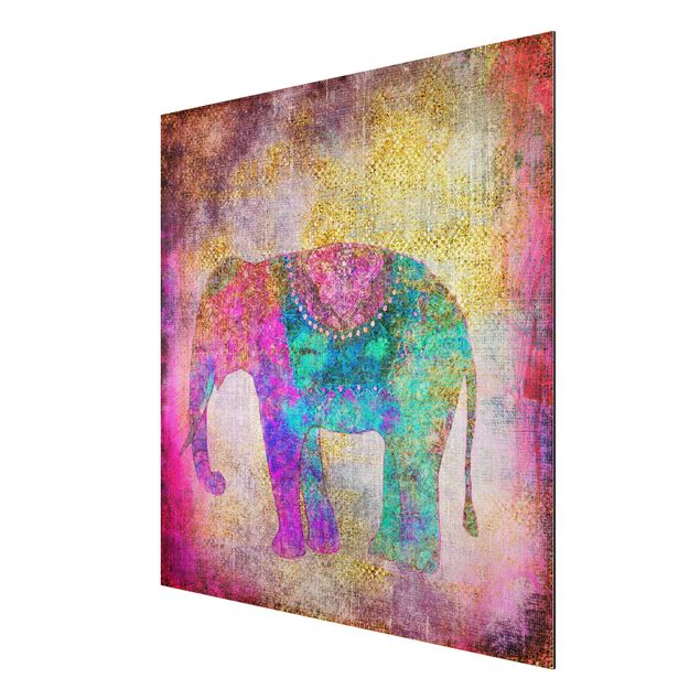Riproduzione quadri famosi Collage colorato - Elefante indiano
