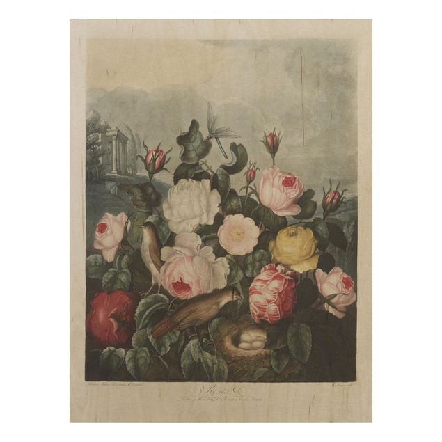 Quadri in legno con fiori Illustrazione botanica vintage di rose