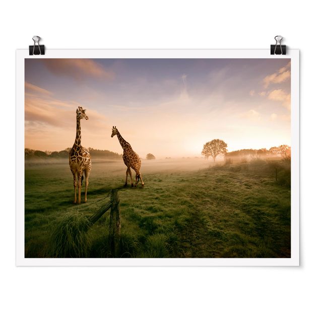 Poster - surreale Giraffe - Orizzontale 3:4