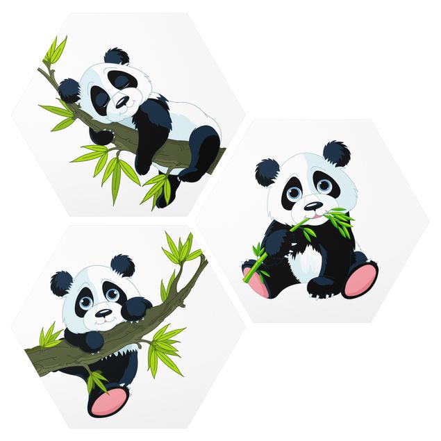 Esagono in Alluminio Dibond - Panda Bear Set