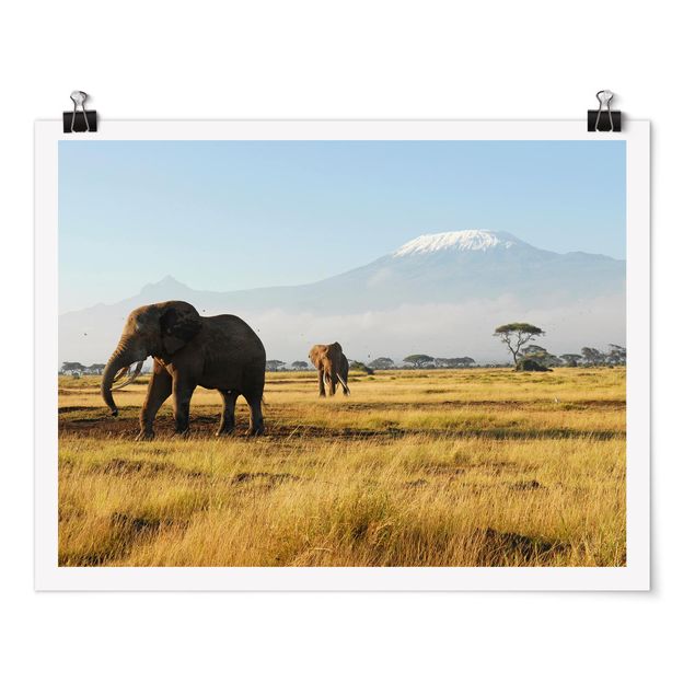 Quadri con elefanti Elefanti Di Fronte Al Kilimanjaro in Kenya