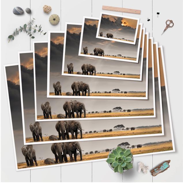 Quadri stampe Elefanti nella savana