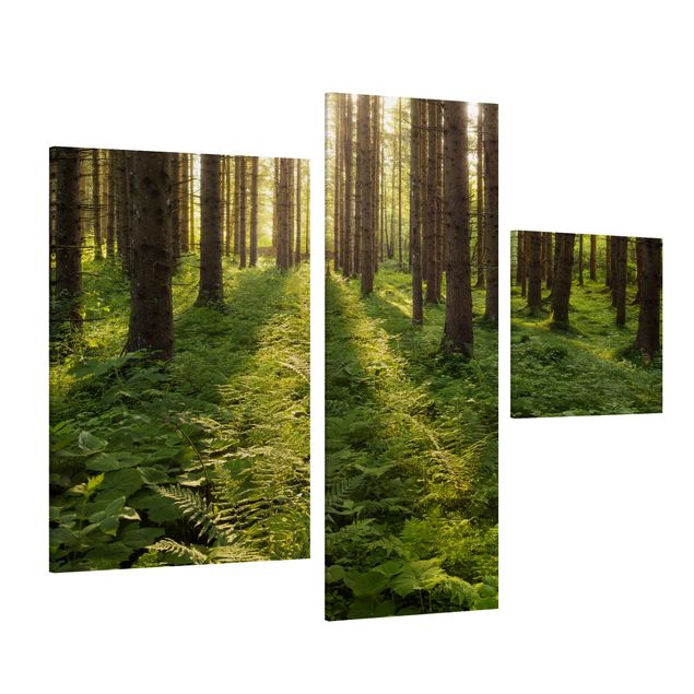 Stampa su tela 3 parti - Sun rays in green forest - Collage 1