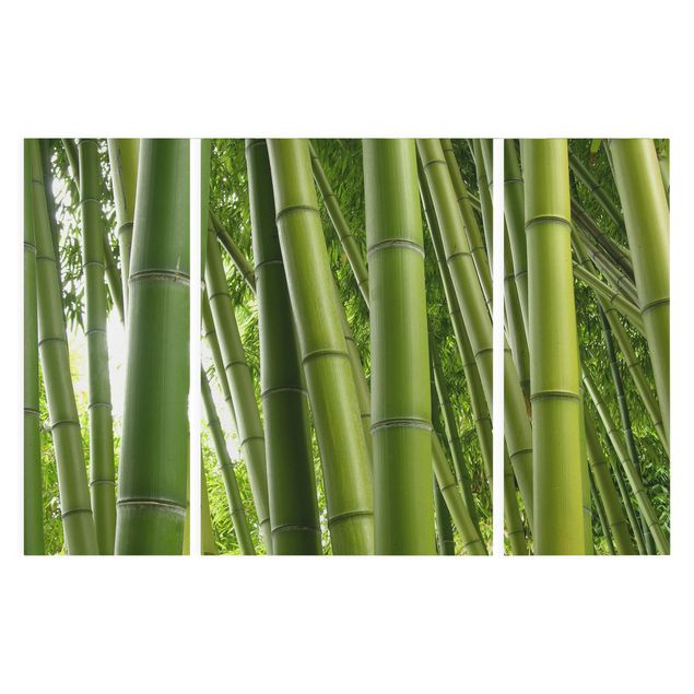 Quadro su tela componibile Alberi di bambù