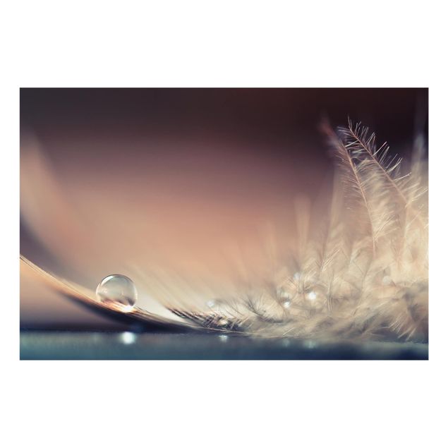 Paraschizzi in vetro - Story Of A Water Drop