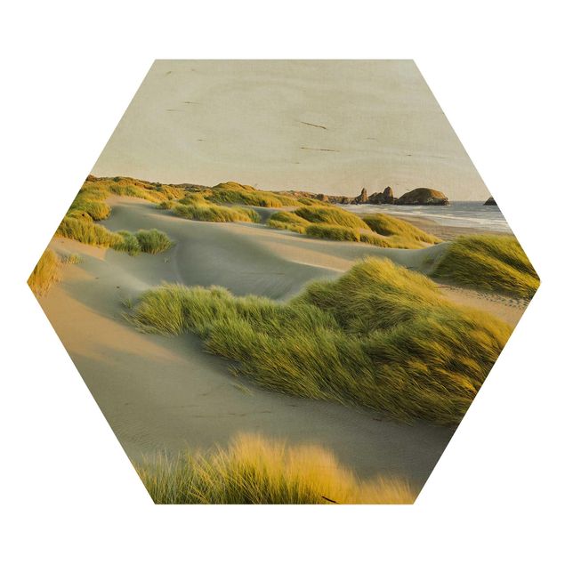 Quadri stampe Dune ed erbe sul mare