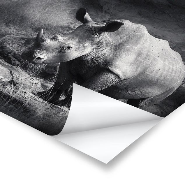 Stampe poster Rinoceronte solitario