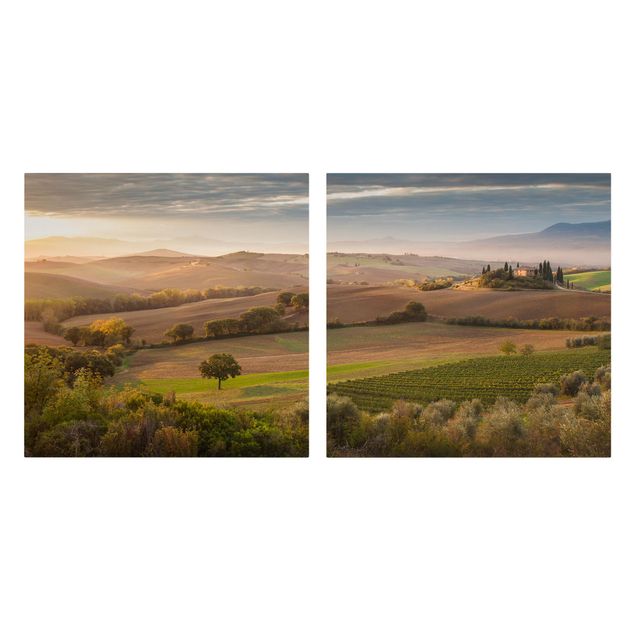 Quadro natura Oliveto in Toscana