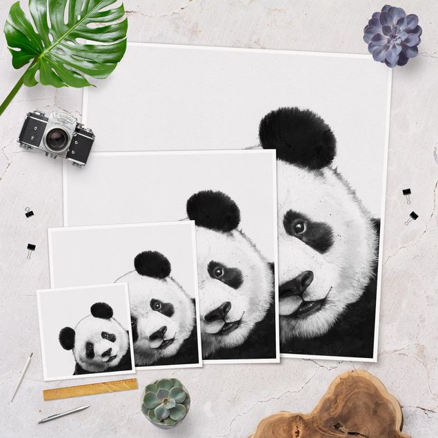Quadri Illustrazione - Panda Disegno in bianco e nero