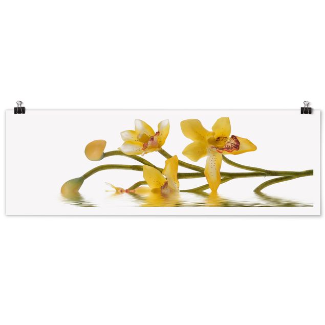 Quadri floreali moderni Acque di orchidee color zafferano