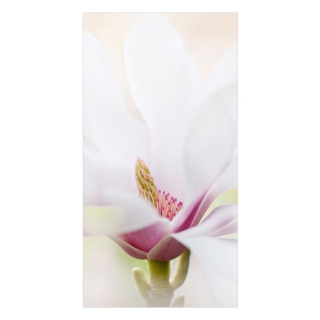 Rivestimento per doccia - Delicata fioritura di magnolia
