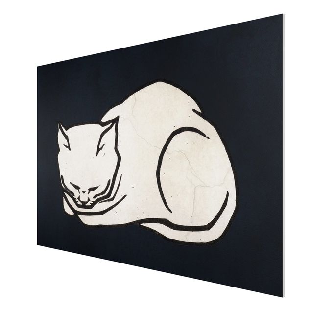 Quadri bianco e nero Illustrazione di gatto addormentato