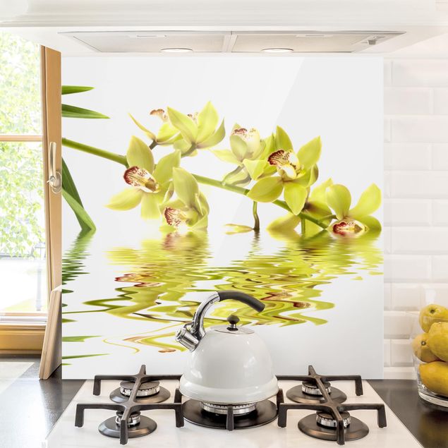Paraschizzi con fiori Eleganti acque di orchidea