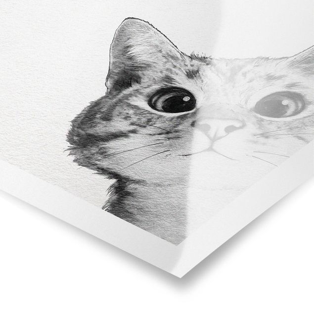 Poster in bianco e nero Illustrazione - Gatto Disegno in bianco e nero