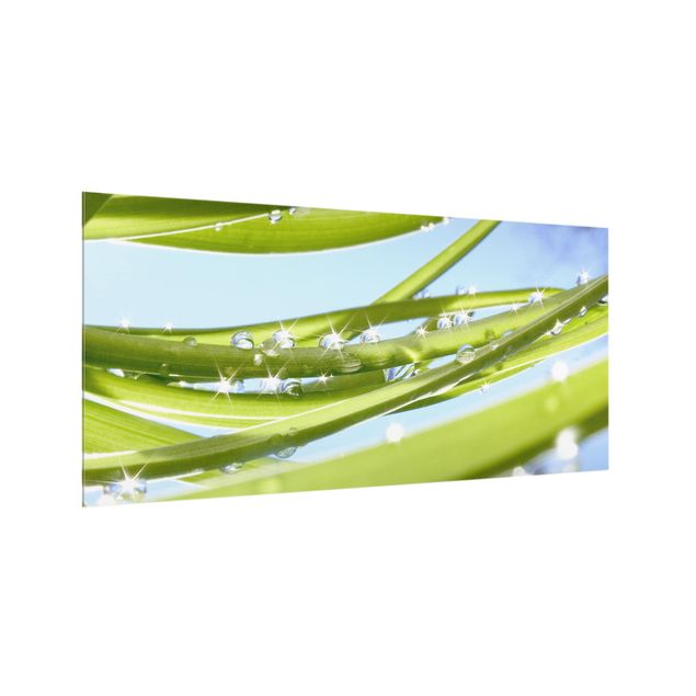 Paraschizzi cucina vetro Verde fresco