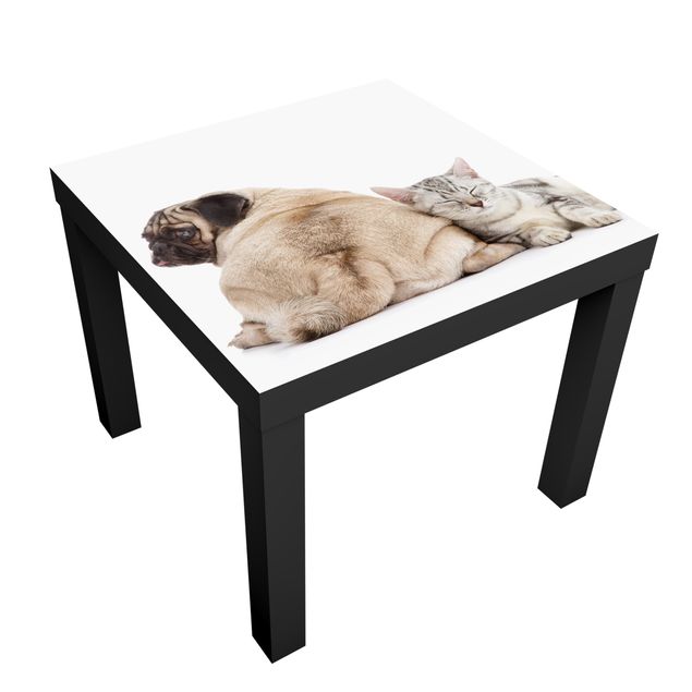 Carta adesiva per mobili IKEA - Lack Tavolino Pug and kittens