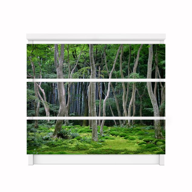 Pellicola autoadesiva Foresta giapponese
