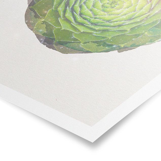 Stampe poster Acquerelli - Mandala di succulente