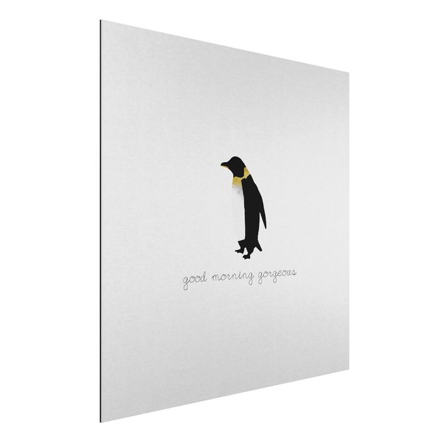 Quadri moderni   Citazione Pinguino Buongiorno Splendido