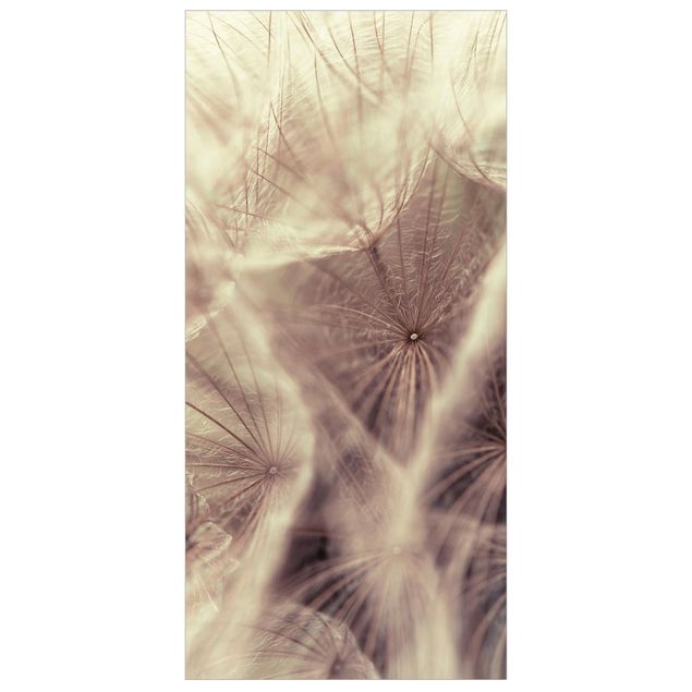 Tenda a pannello Detailed dandelions macro shot with vintage blur effect 250x120cm