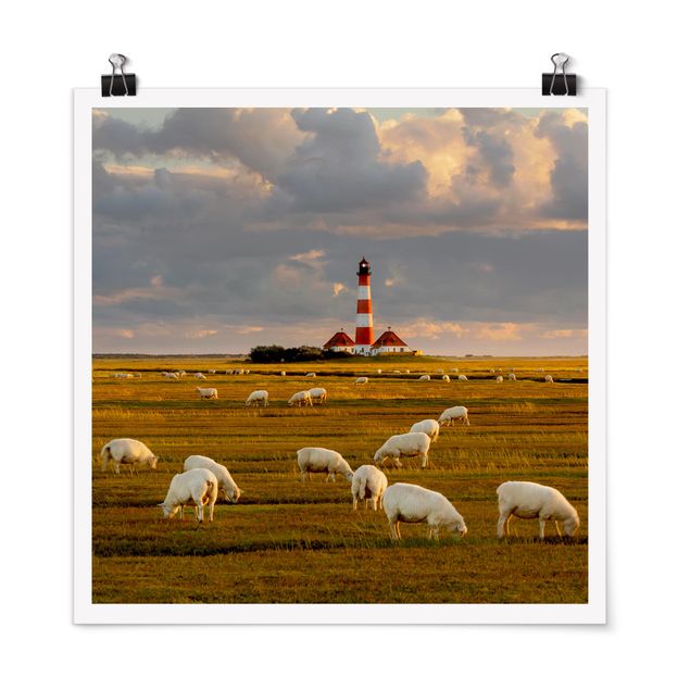Poster spiaggia mare Faro sul Mare del Nord con gregge di pecore