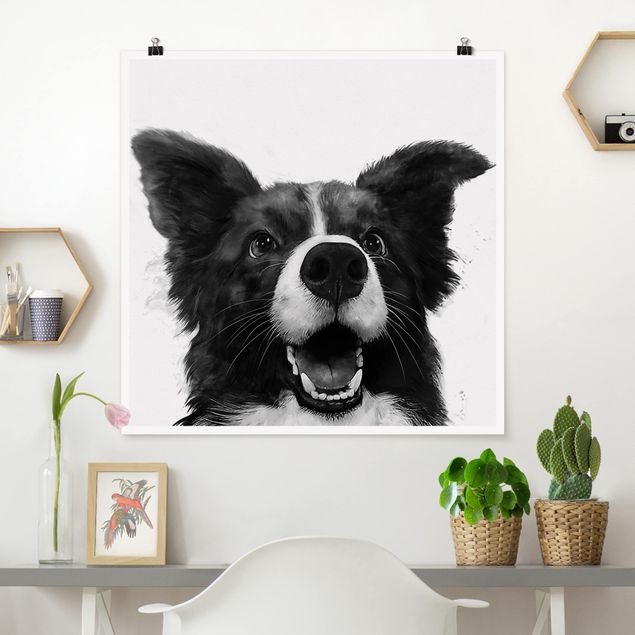 Quadro cane Illustrazione - Cane Border Collie Pittura in bianco e nero