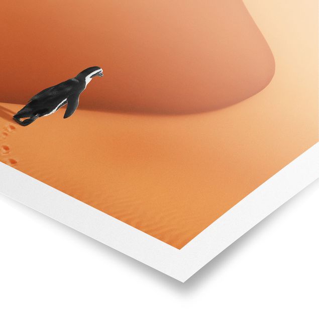 Quadro arancione Deserto con pinguino