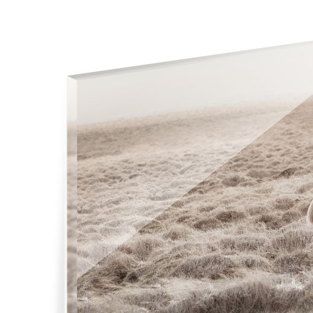 Paraschizzi in vetro - Cavallo selvaggio d'Islanda - Panorama 5:2