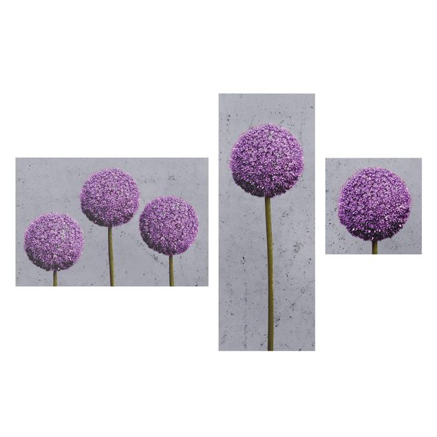 Quadri con fiori Allium flower balls