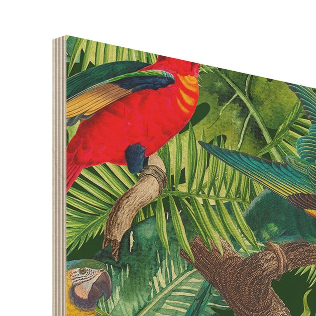 Stampe su legno Collage colorato - Pappagalli nella giungla