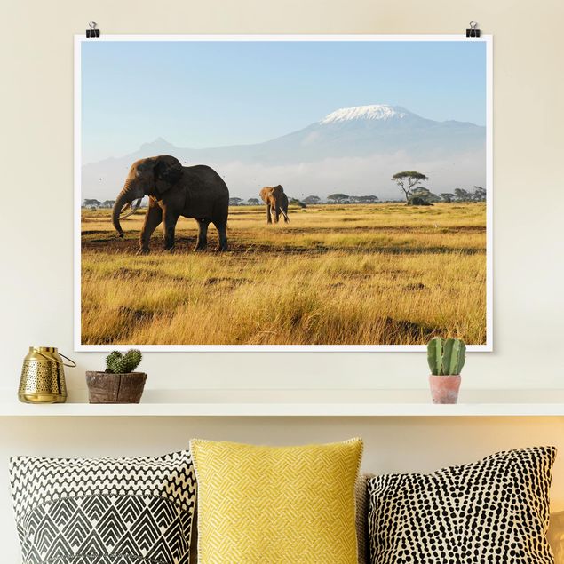 Quadri Africa Elefanti Di Fronte Al Kilimanjaro in Kenya