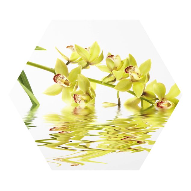 Stampe Eleganti acque di orchidea