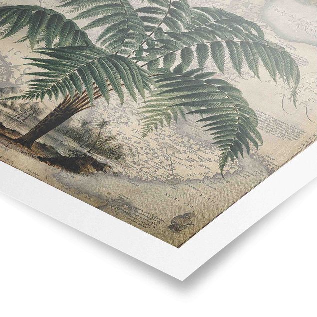 Quadro verde Collage vintage - Palma e mappa del mondo
