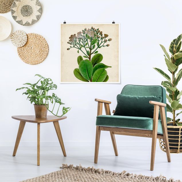 Quadri moderni   Poster con piante caducifoglie VIII