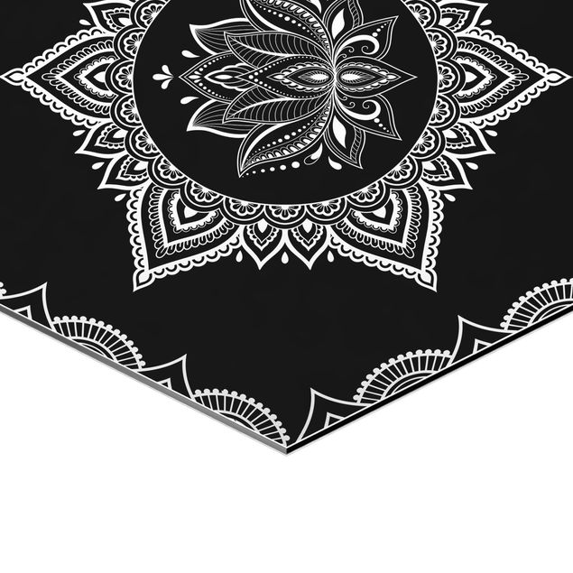 Esagono in Alluminio Dibond - Lotus OM Illustrazione set black