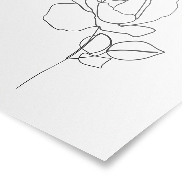 Quadri di fiori Line Art - Rosa Bianco E Nero