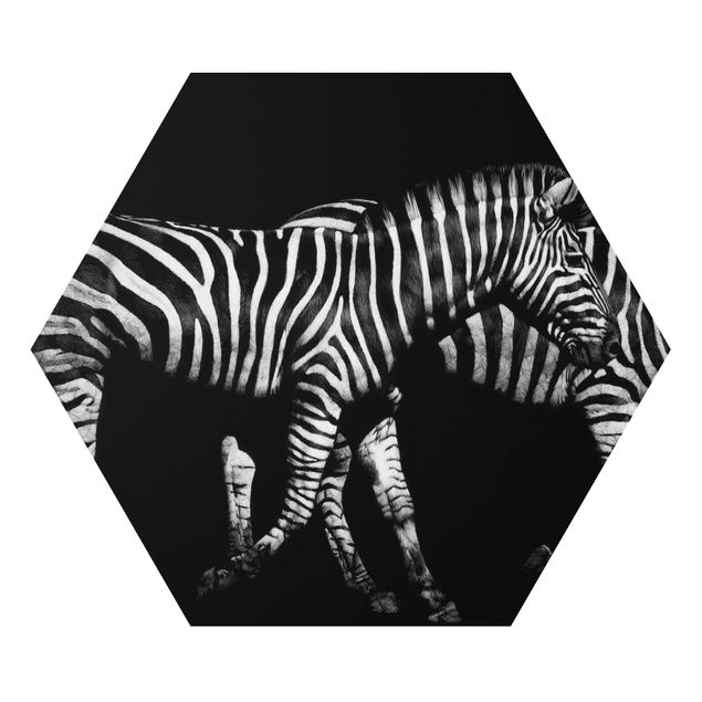 Quadri stampe Zebra nel buio