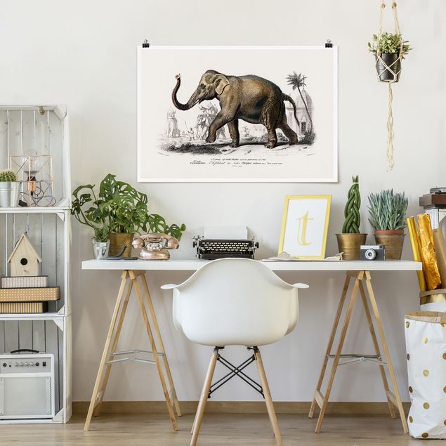Poster retro Bacheca vintage Elefante