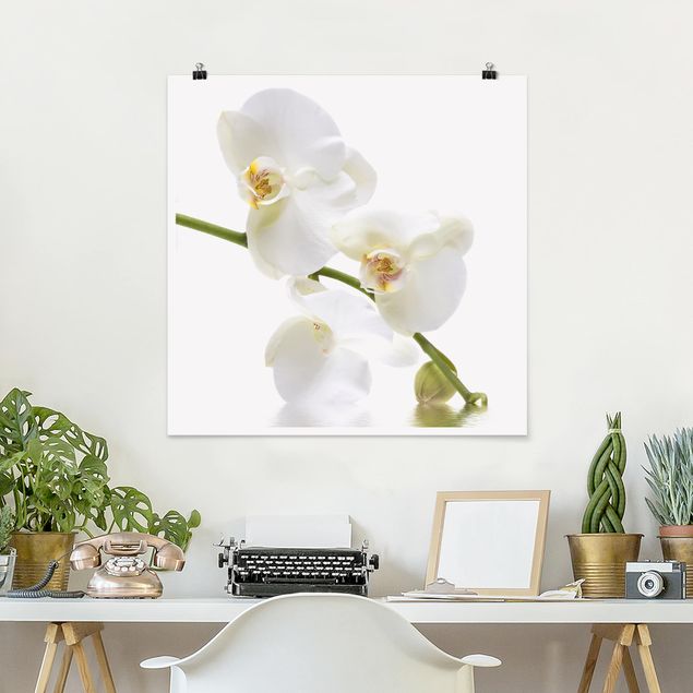Quadri moderni per arredamento Acque di orchidea bianca