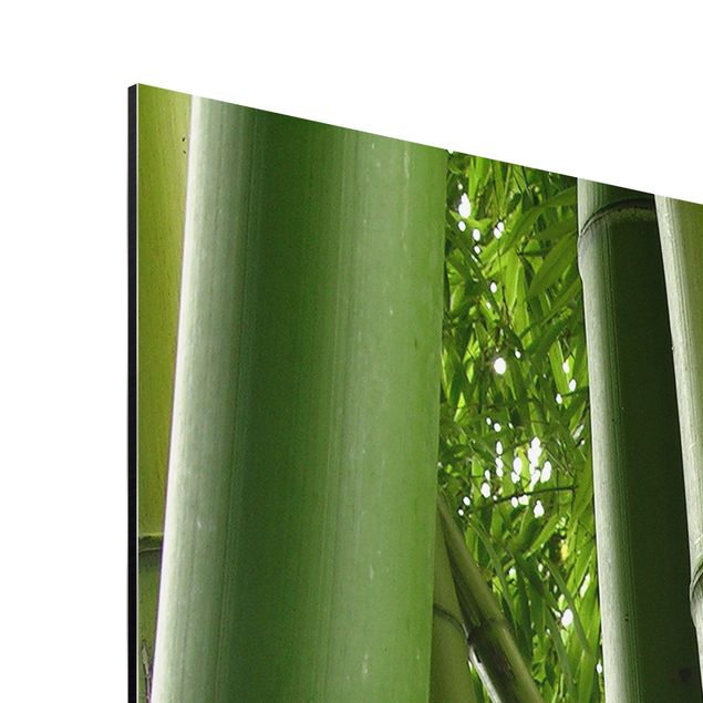 Quadro natura Alberi di bambù n.1