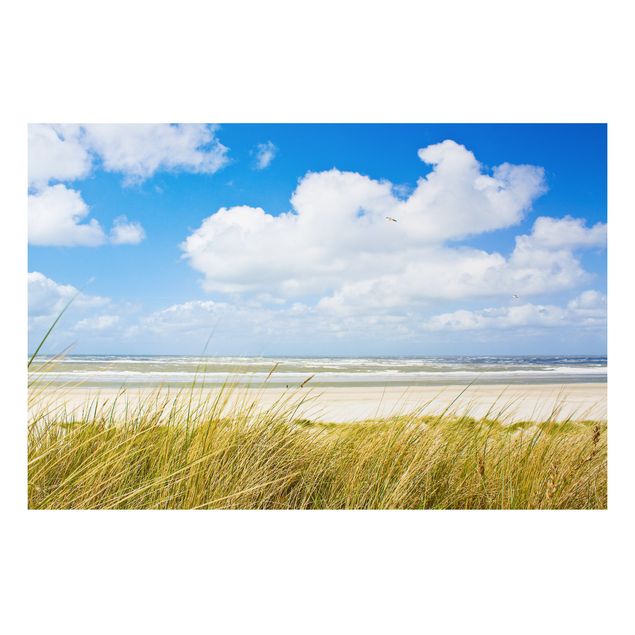 Quadri con paesaggio Panorama sulla costa del Mare del Nord