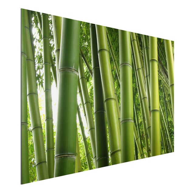 Quadri con paesaggio Alberi di bambù n.1