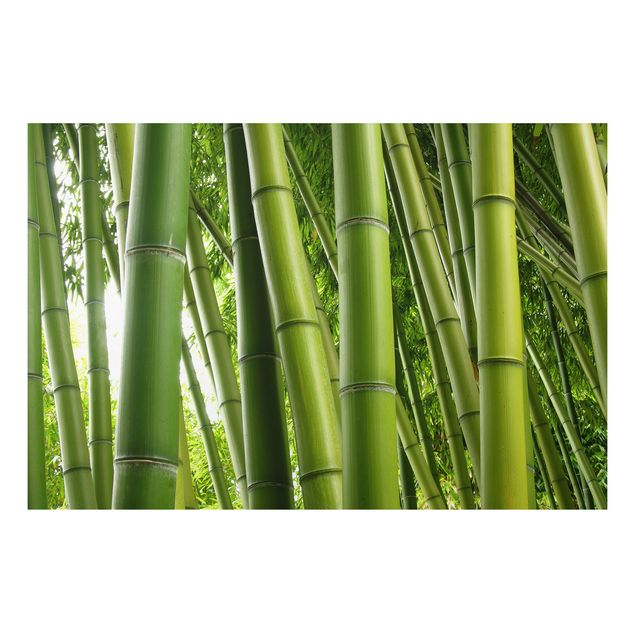 Quadri alberi Alberi di bambù n.1