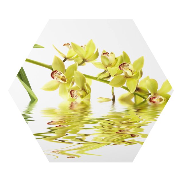 Quadri Eleganti acque di orchidea