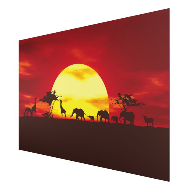 Elefante quadro Sunset Caravan